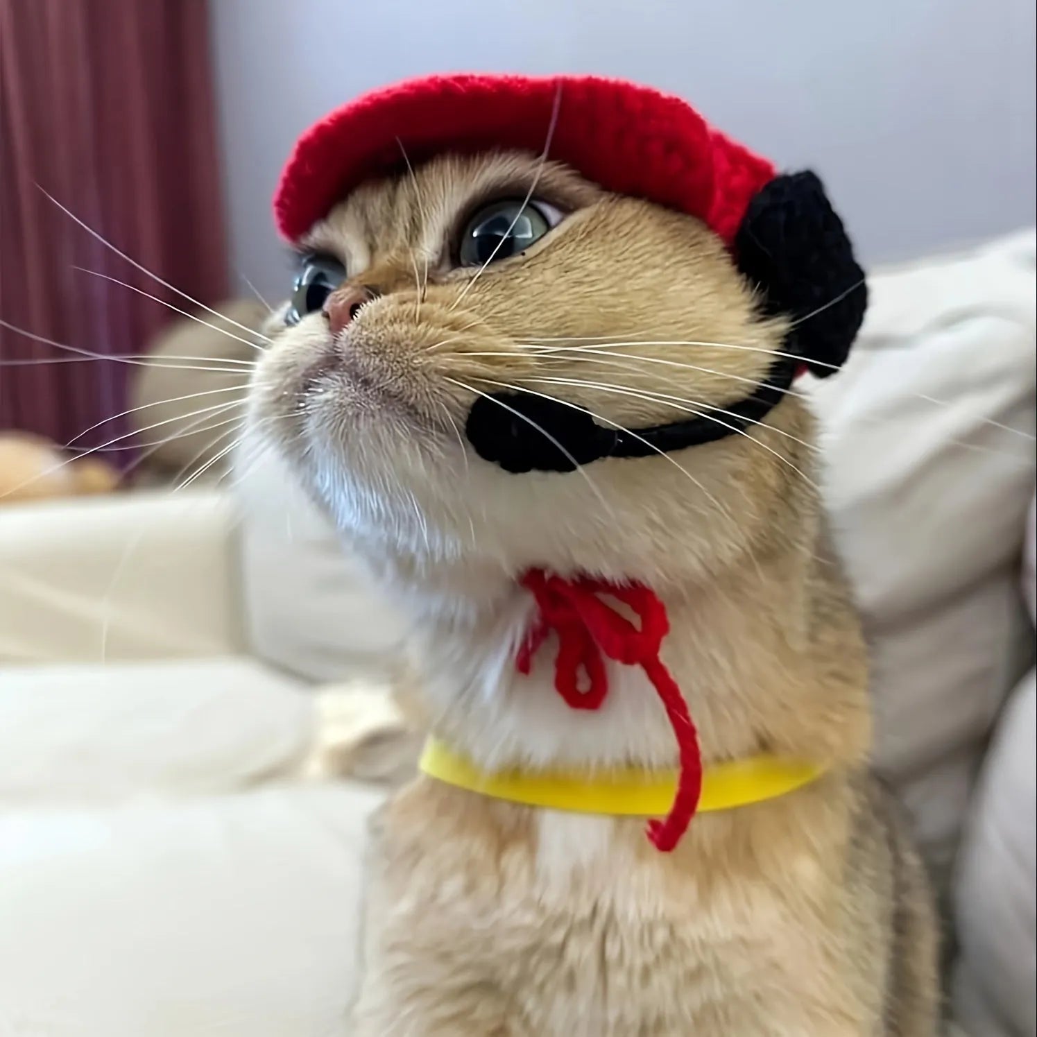 Handmade chef hat and cotton knitted sweater pet costume for a cat or small dog.