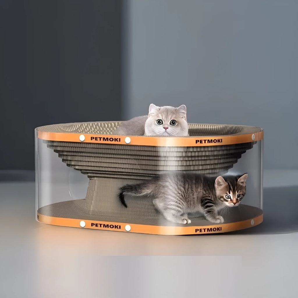 White transparent cat scratch board and tunnel nest with diamond pattern, dimensions 58cm by 45cm.