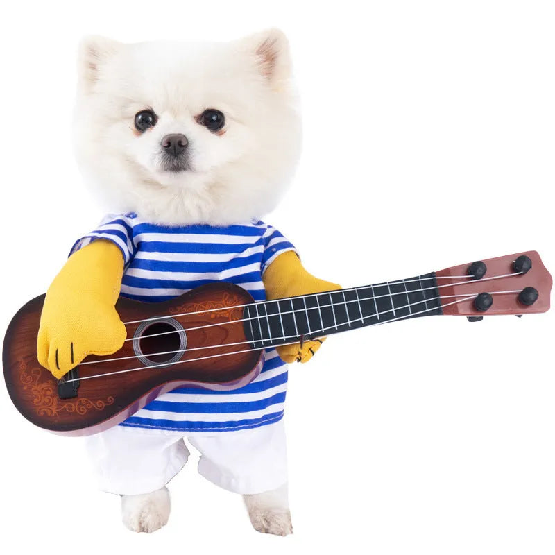 Halloween dog costume selection showing bat suit, devil outfit and pumpkin pack designs