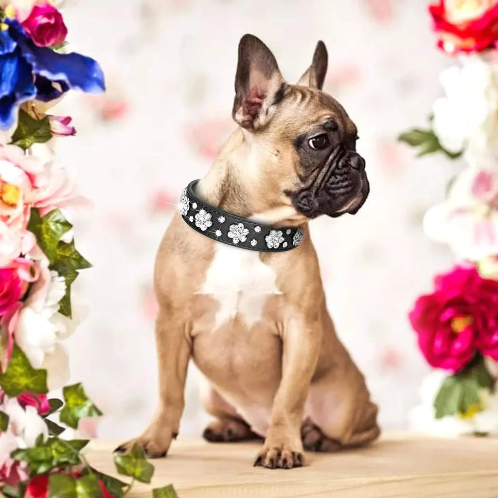 Soft black PU leather dog collar with sparkling pink rhinestone flower studs and a metal D-ring.