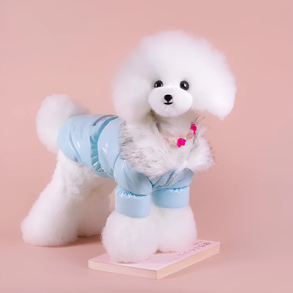 Blue British-style cotton puppy jacket for winter warmth on small dog