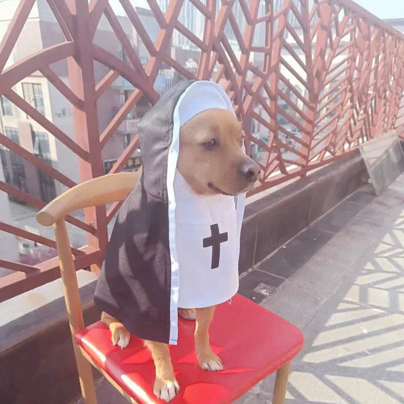 Black and white nun costume cloak outfit on a small or medium dog for Halloween.