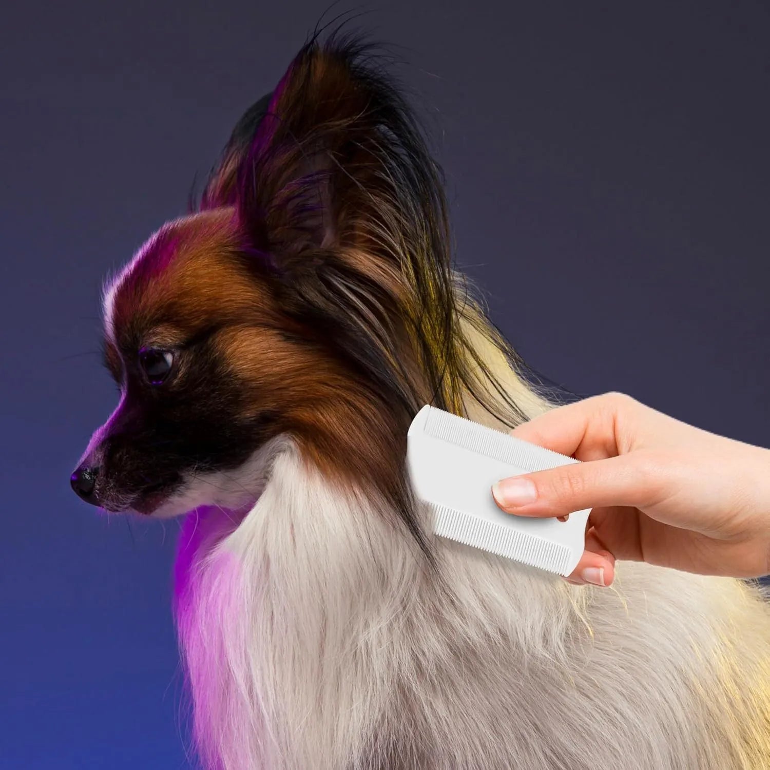 Small white plastic double-sided flea comb for dogs and cats on a plain background.