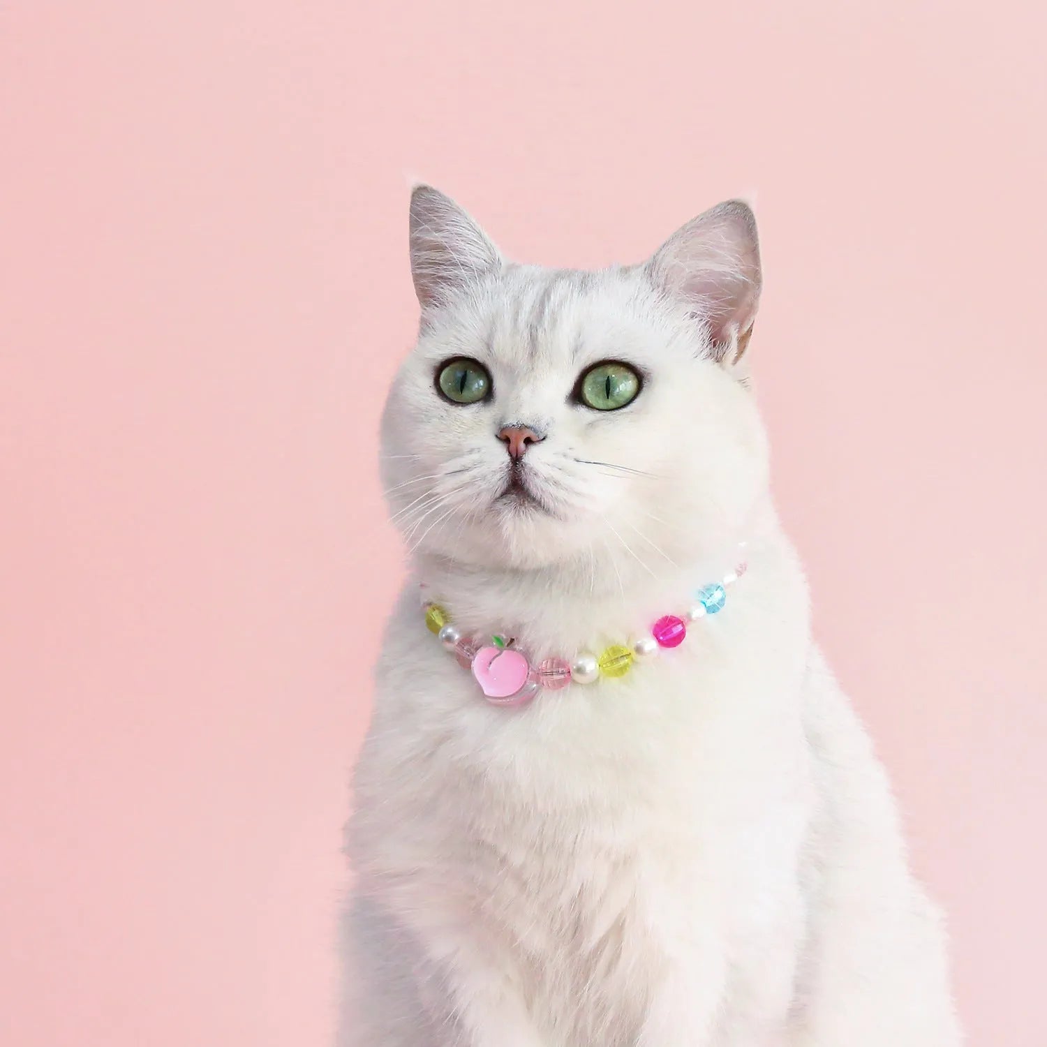 Colourful plastic bead cat necklace in small flower, rainbow or peach designs with adjustable sizing